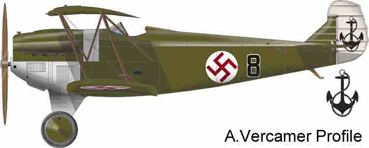 Fiat Cr.1 #8